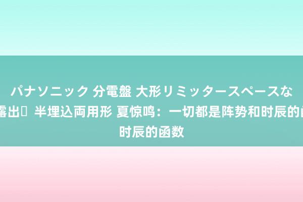 パナソニック 分電盤 大形リミッタースペースなし 露出・半埋込両用形 夏惊鸣：一切都是阵势和时辰的函数