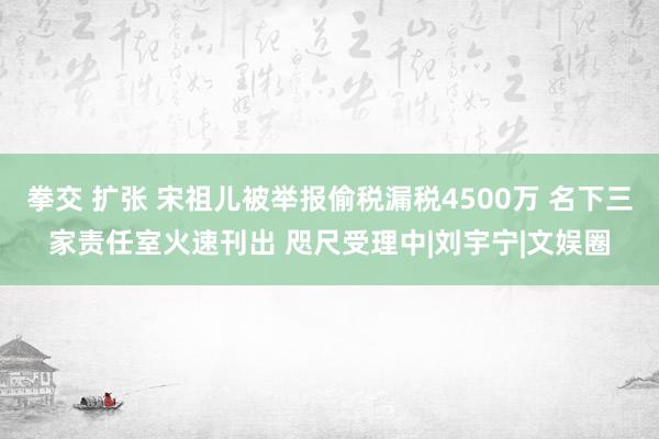 拳交 扩张 宋祖儿被举报偷税漏税4500万 名下三家责任室火速刊出 咫尺受理中|刘宇宁|文娱圈